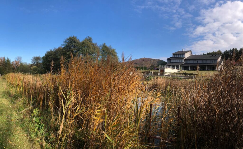 Ház és saját tava